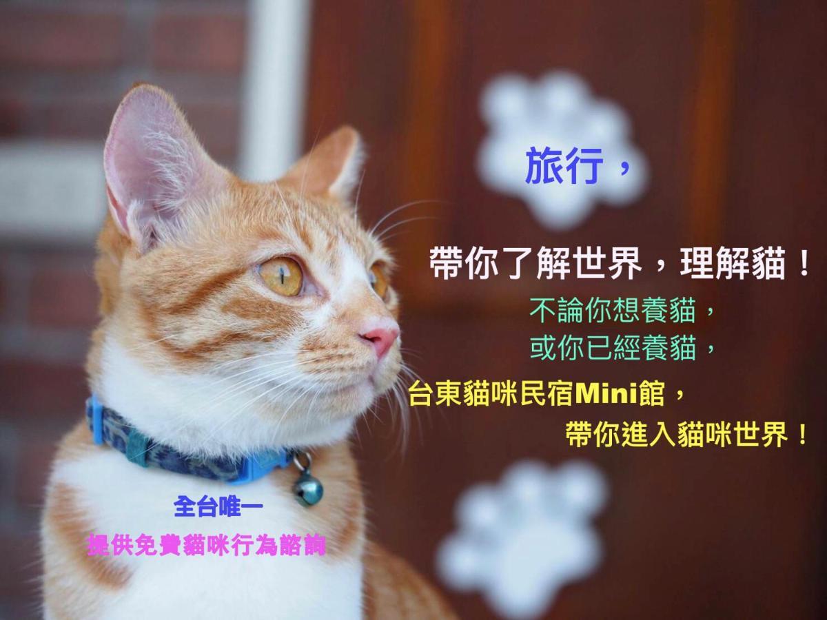 貓咪民宿mini館-中午即可入房 T'ai-tung Eksteriør bilde