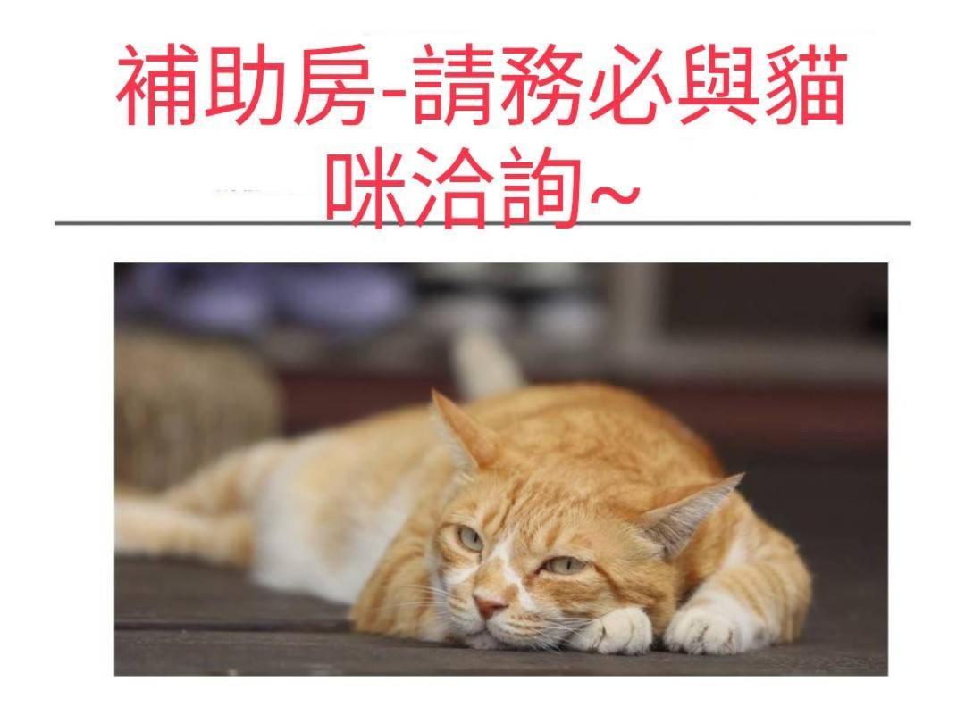 貓咪民宿mini館-中午即可入房 T'ai-tung Eksteriør bilde